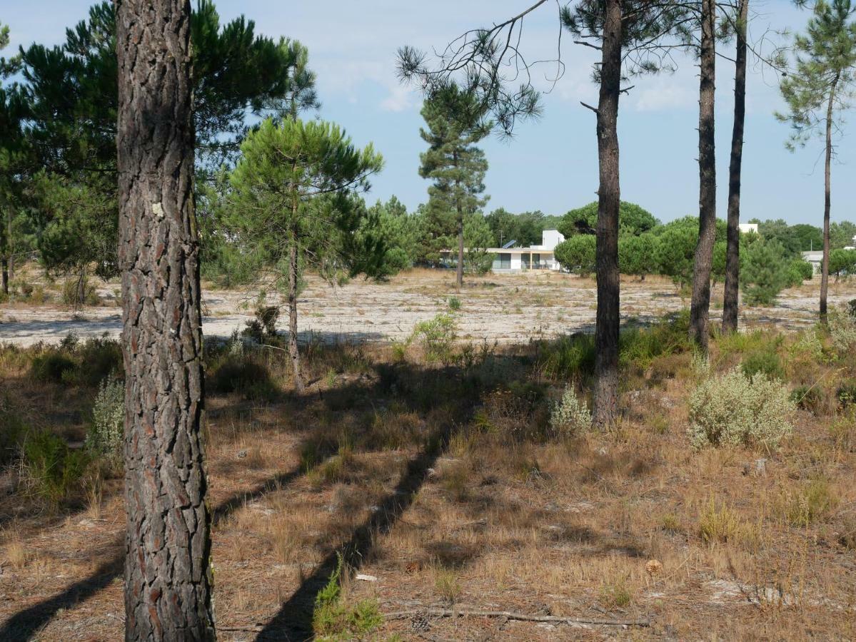 Casa Das Pergolas Comporta Zewnętrze zdjęcie